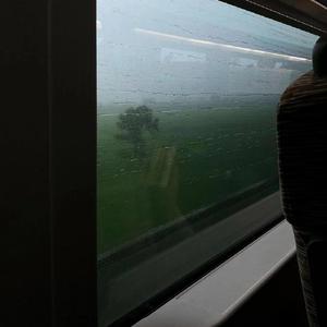 少扫BBBBB毛多水多
