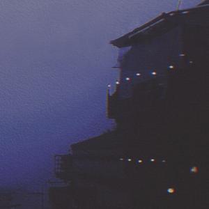 少扫BBBBB毛多水多
