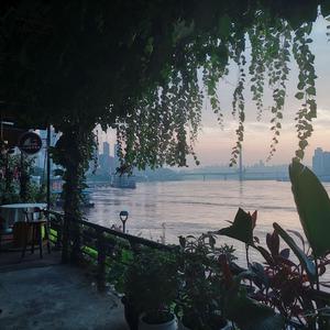 少扫BBBBB毛多水多
