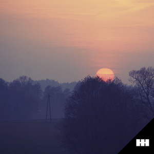 少扫BBBBB毛多水多
