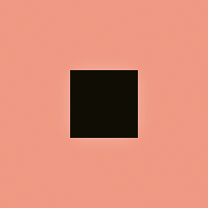 少扫BBBBB毛多水多
